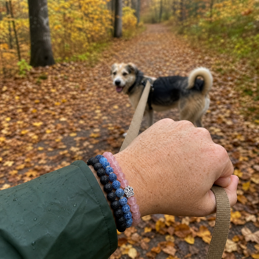 <h2>La confianza de más de 10.000 amantes de los animales 🧡</h2>